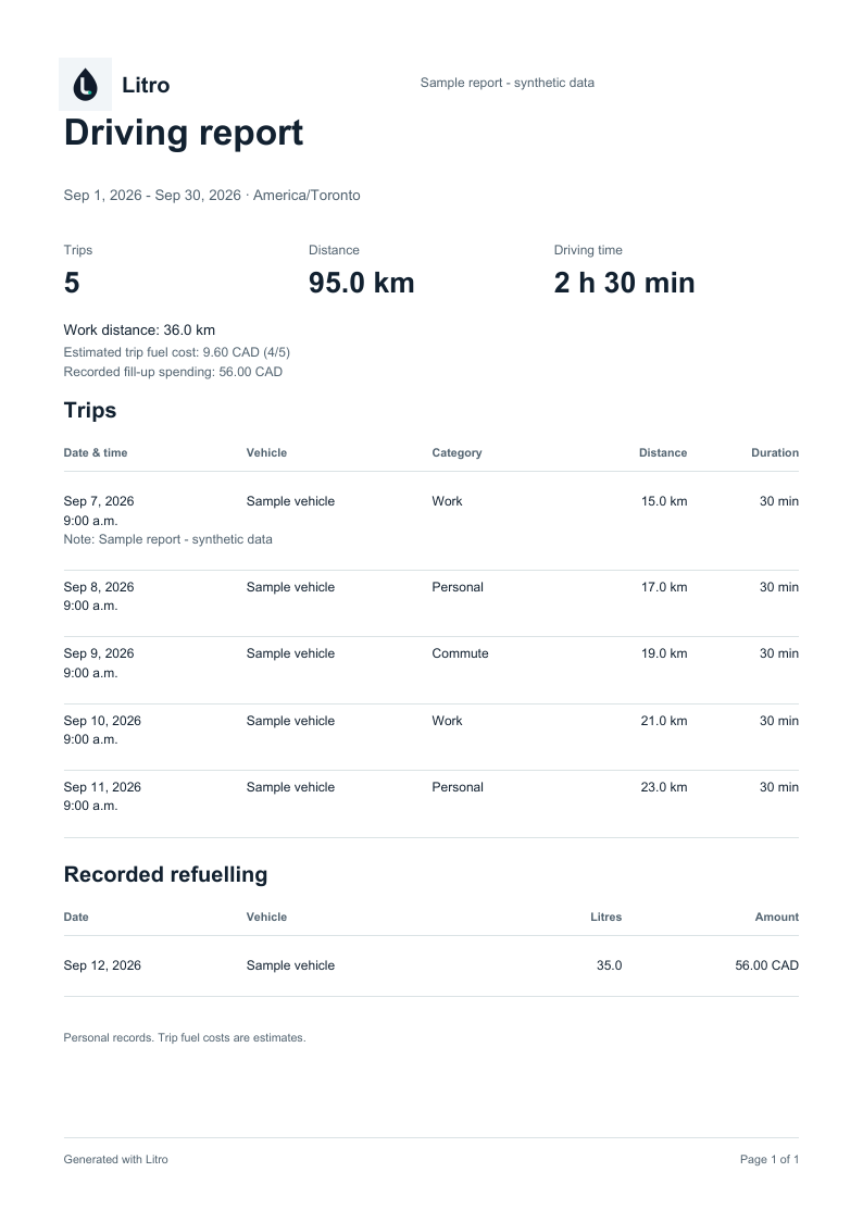 Synthetic driving report with trip totals, category-labelled trips and recorded refuelling.